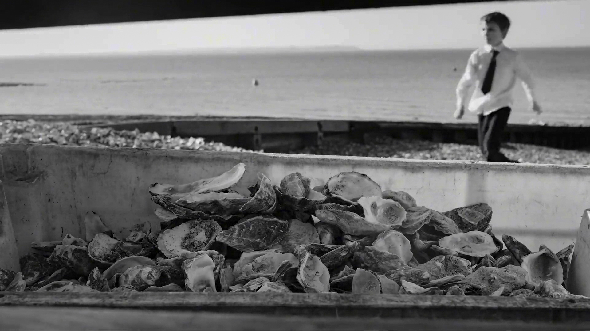 Oyster shells being moved at the farm