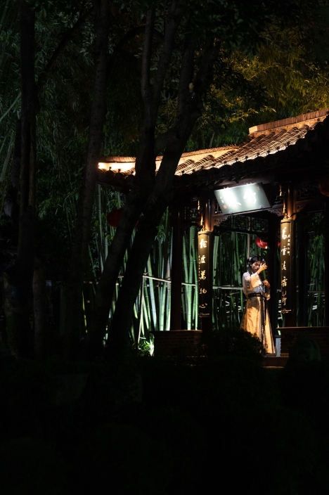 A pavilion glimpsed through dark trees