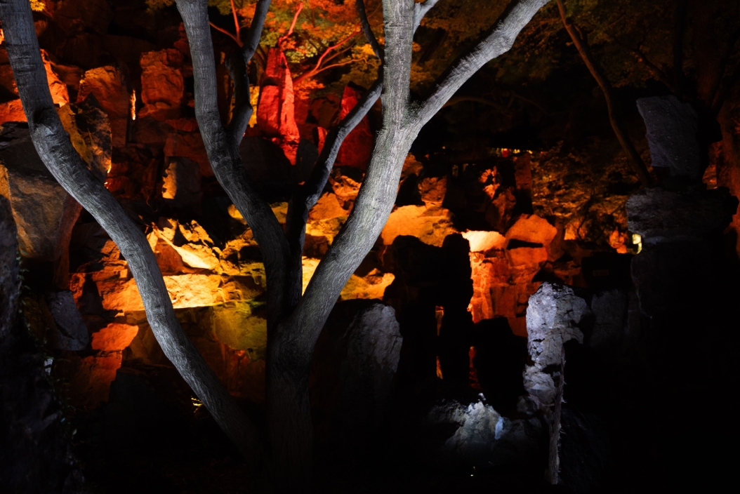 Visitors moving through an illuminated garden