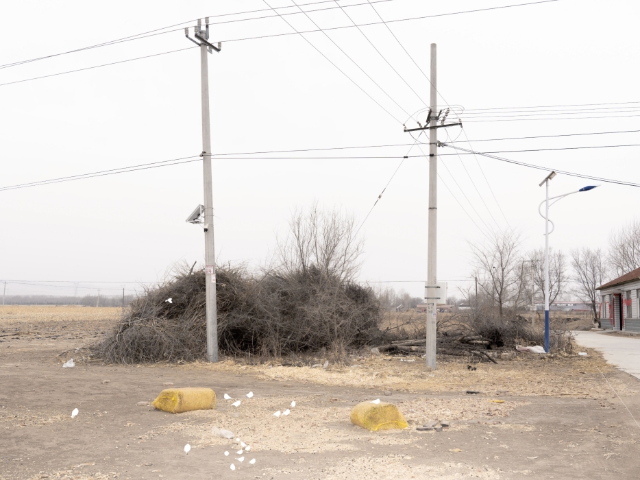 Utility poles and dry brush