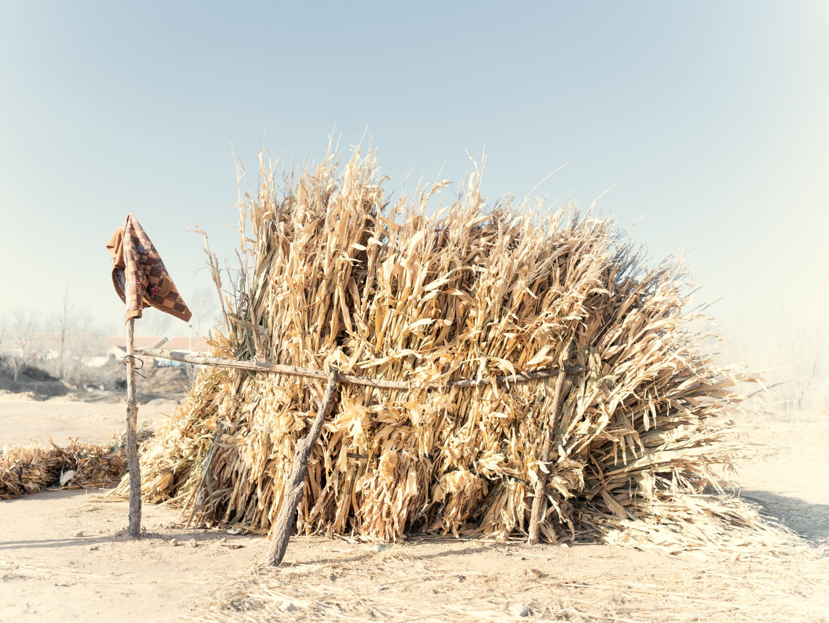 Bundles of corn drying beside a wall