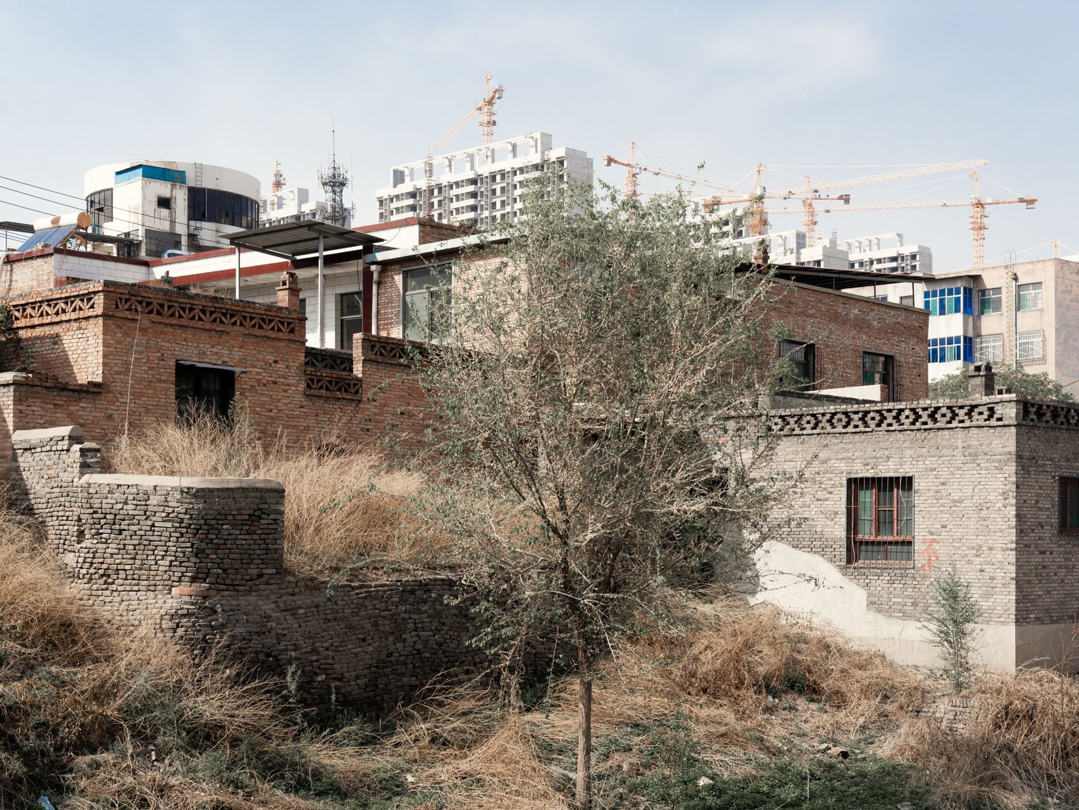 Old houses and winter vegetation