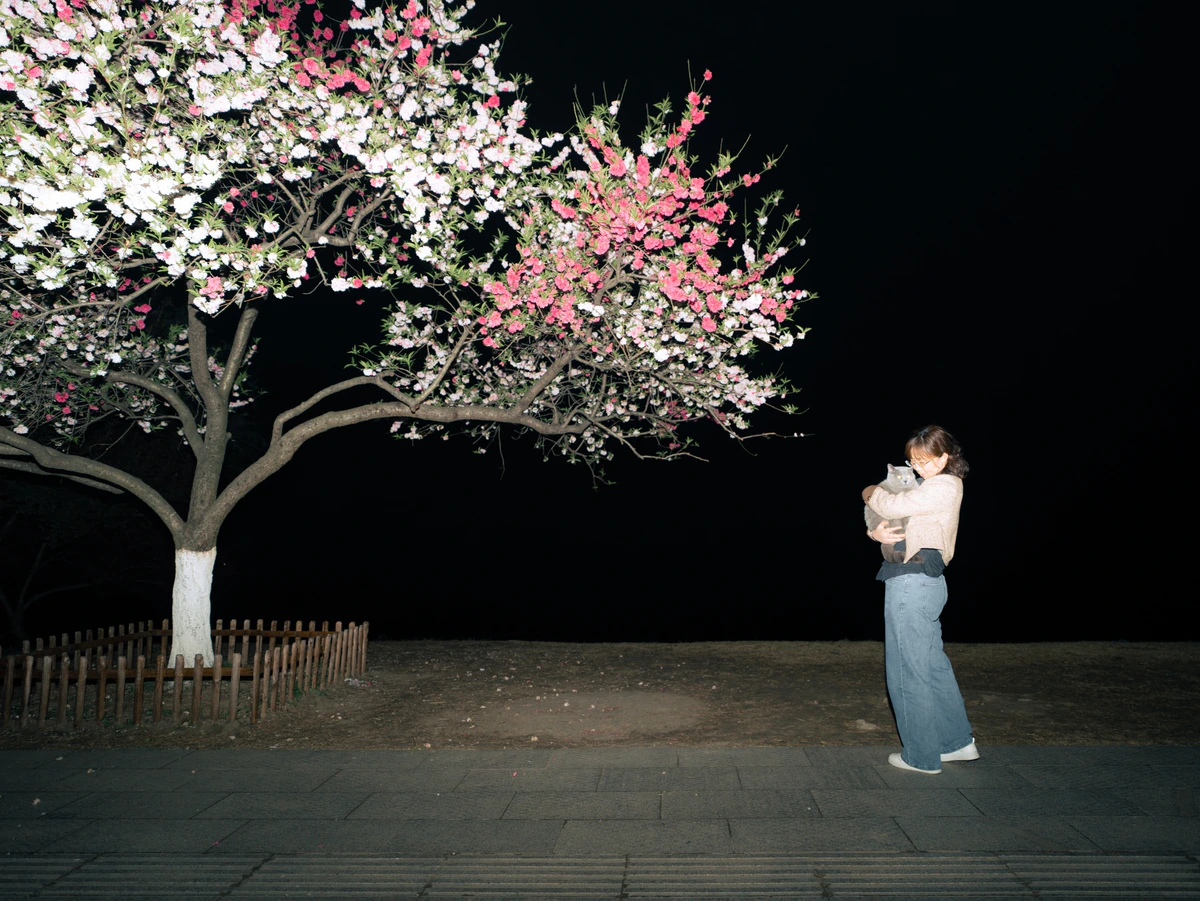 A person standing beside a flowering tree at night