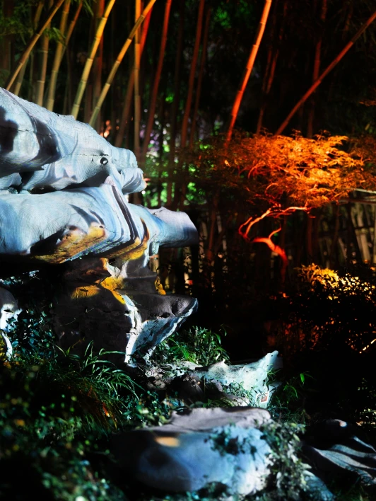 Rocks and foliage lit in saturated colors