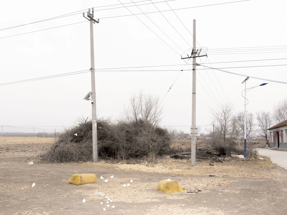 Utility poles and dry brush