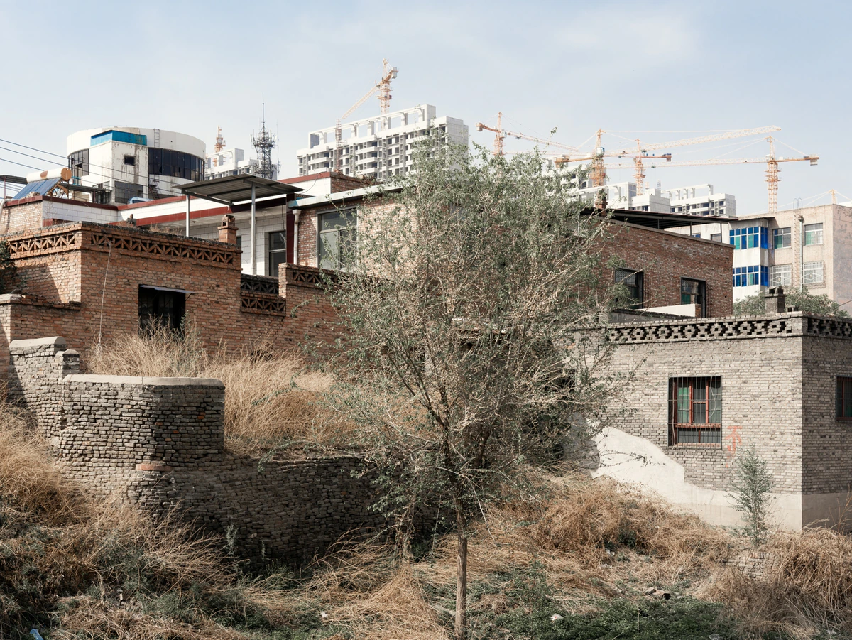 Old houses and winter vegetation