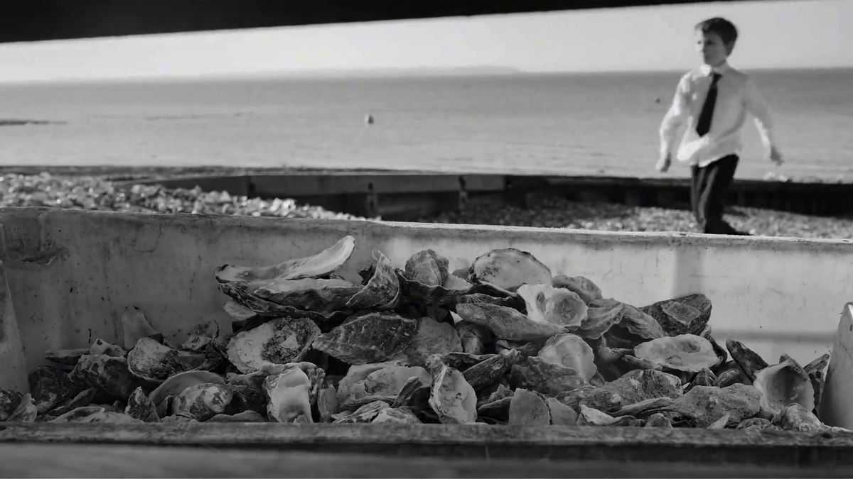 Oyster shells being moved at the farm