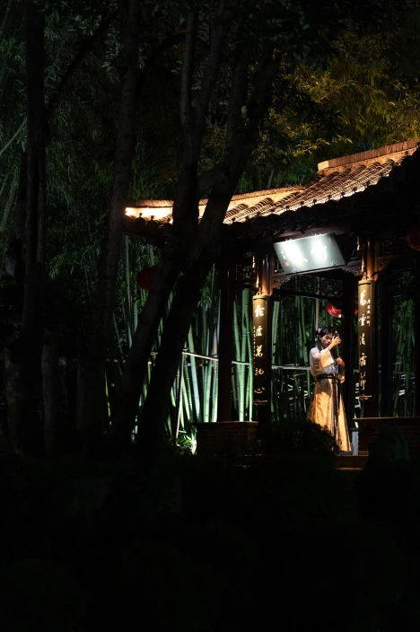 A pavilion glimpsed through dark trees